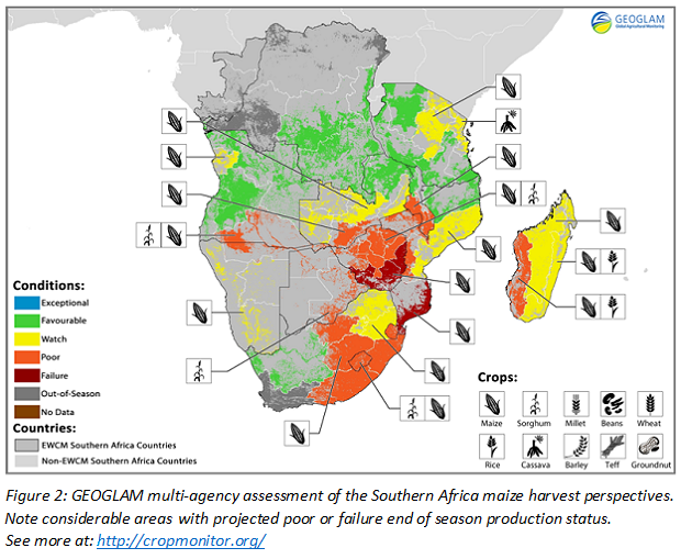 Southern Africa maize harvest perspectives Feb 2016